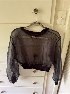 Toska Sheer Black Mesh Long Sleeve Crop Pullover